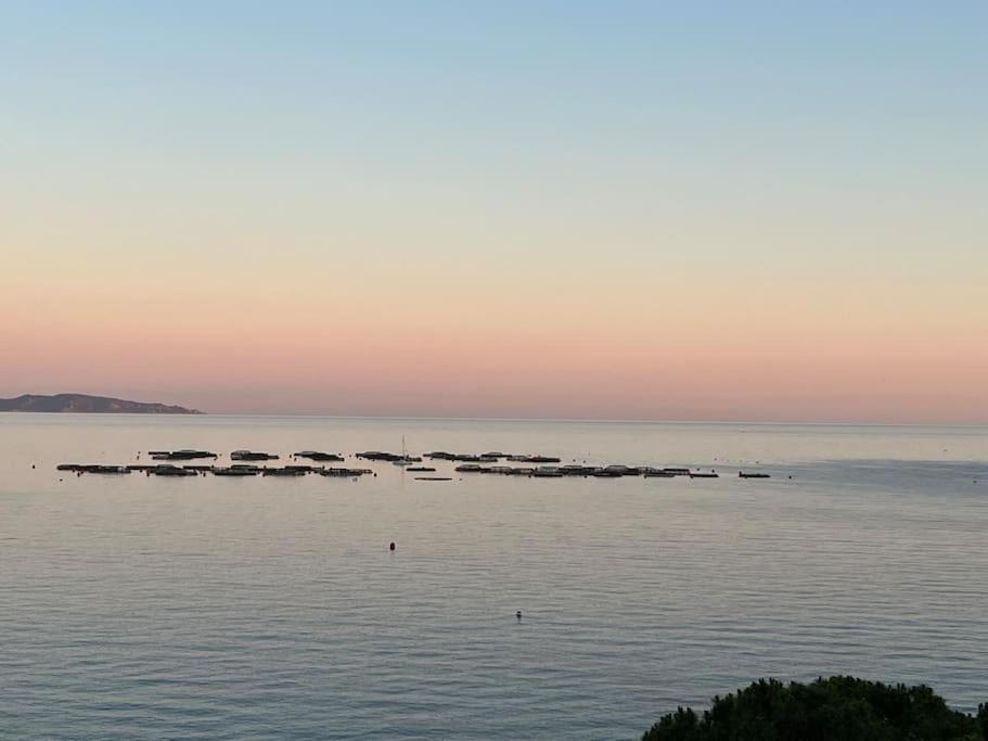 Bel App T2 En Bord De Mer Vue Sanquinaires Piscine Ajaccio  Exterior foto